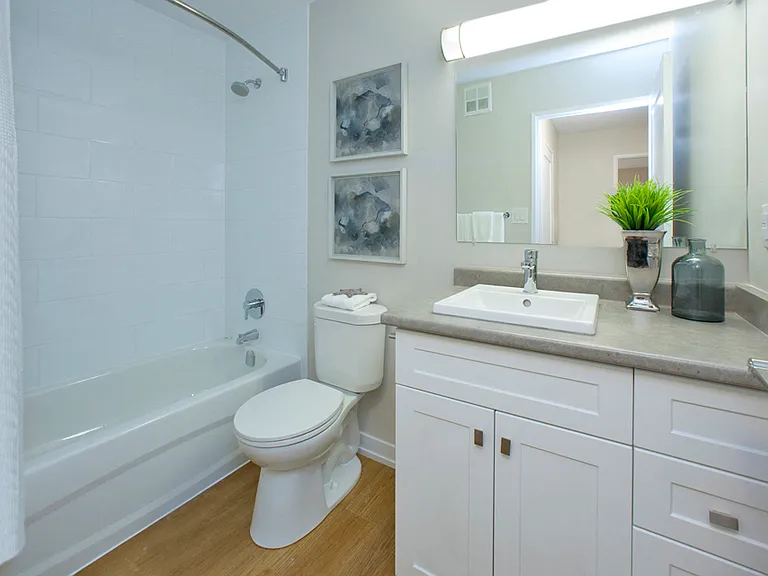 5911 Dorchester Rd — Photo 8