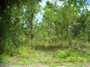 0 Schick Avenue, Brooksville, FL 34614