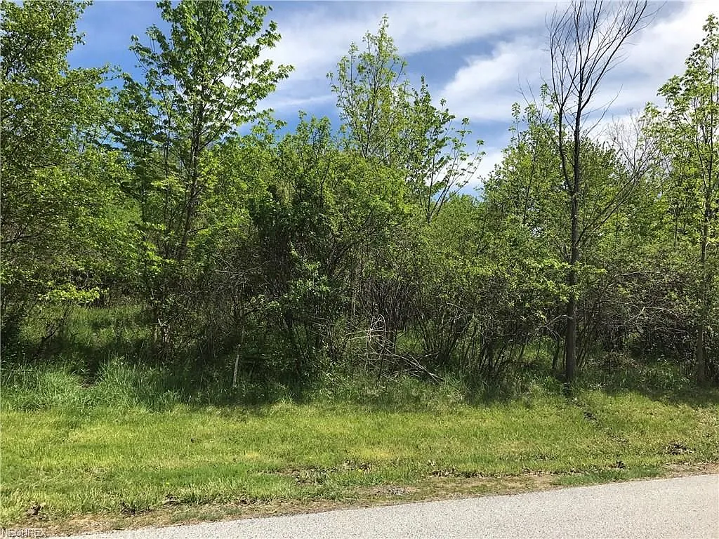 River Rd photo 1