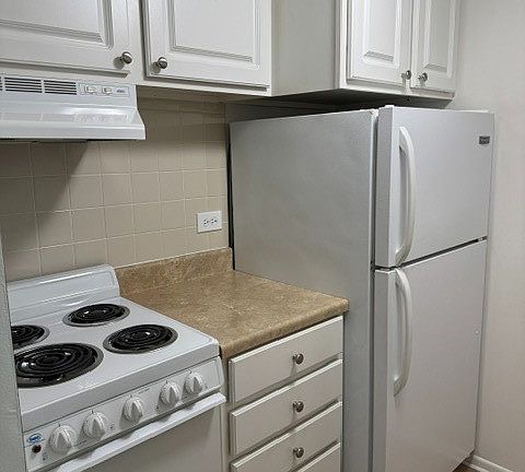 5th image of 255 S West Ave APT 305