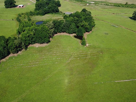 5th image of 6427 W Creek Rd