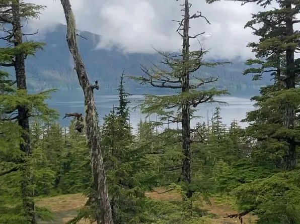 L20 Patent Pl, Tatitlek, AK 99677