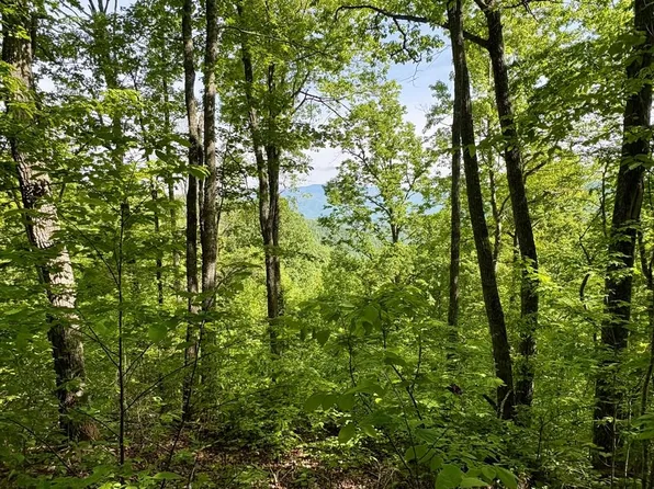 0 High Knob Dr, Bryson City, NC 28713