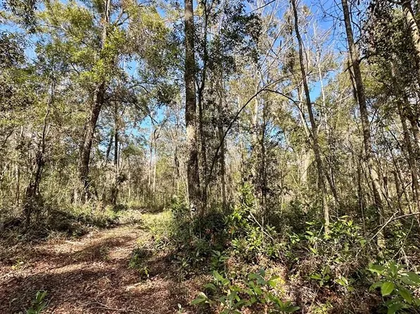 402 NE 542nd St, Old Town, FL 32680