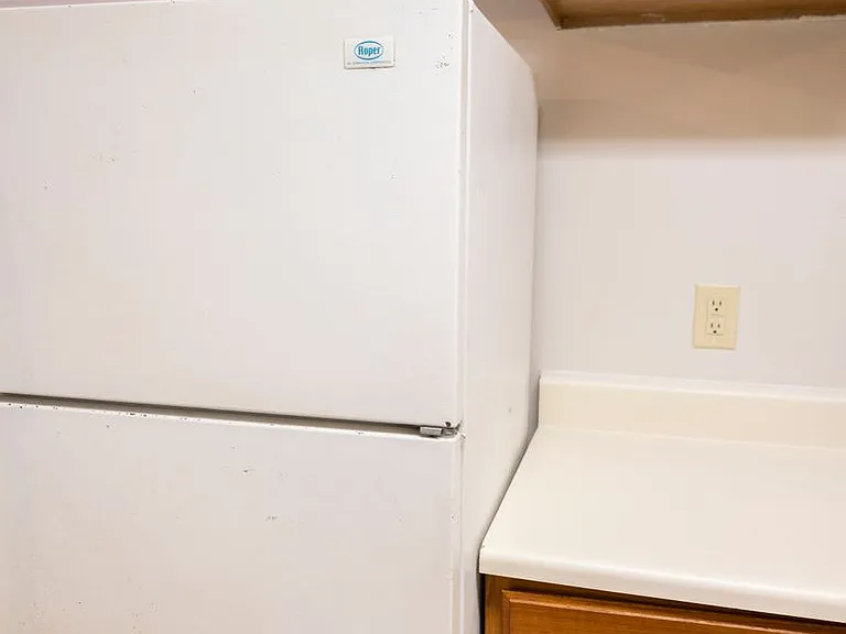 268 Faculty St — Photo 6