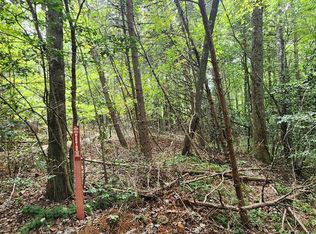 LOT 42 Old Mill Pond Rd #43, Mineral Bluff, GA 30559