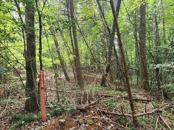 LOT 42 Old Mill Pond Rd #43, Mineral Bluff, GA 30559