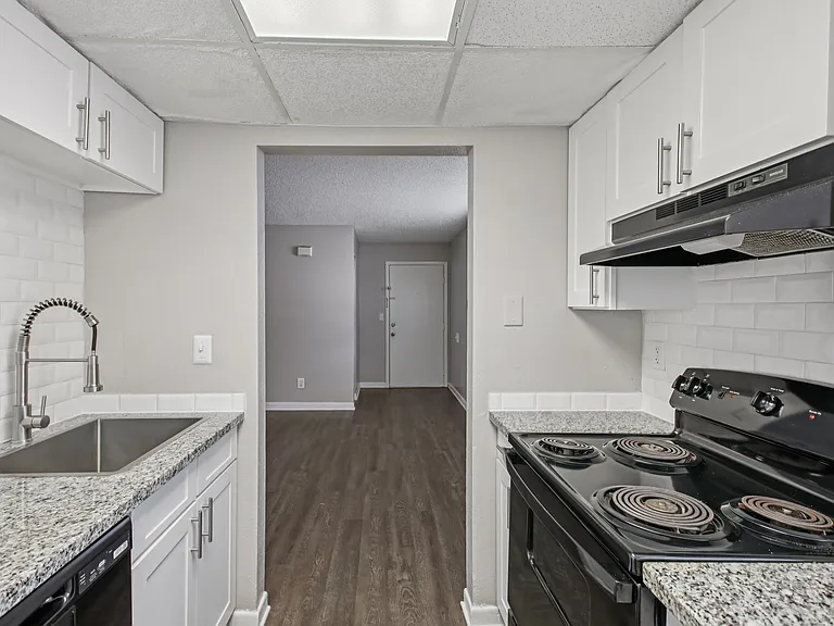 Meridian Luxury Condominiums — Photo 67
