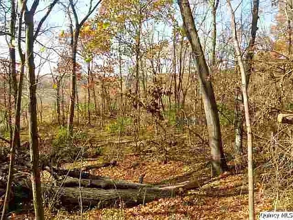 Home for Sale in Quincy, IL $35,000