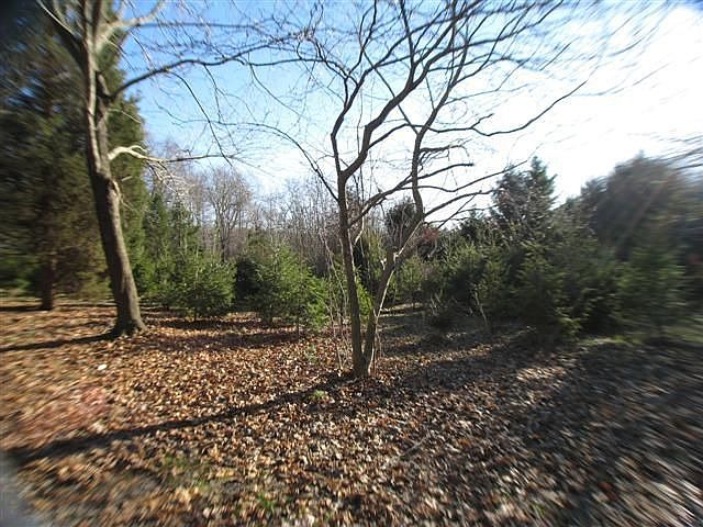 2nd image of 27998 Gaunts Bridge Rd