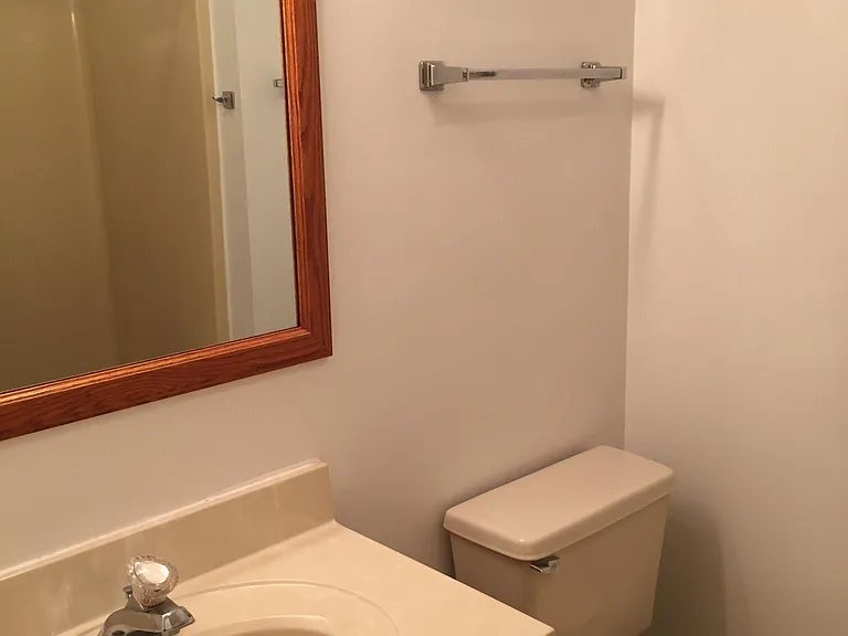 Main hallway guest bath