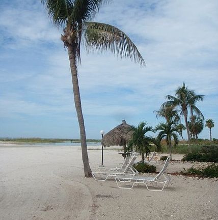 Beach Photo 2