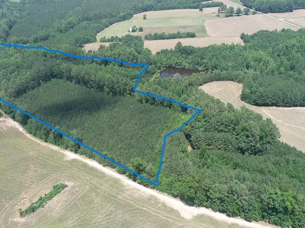 Reedy Branch Rd, Kenbridge, VA 23944