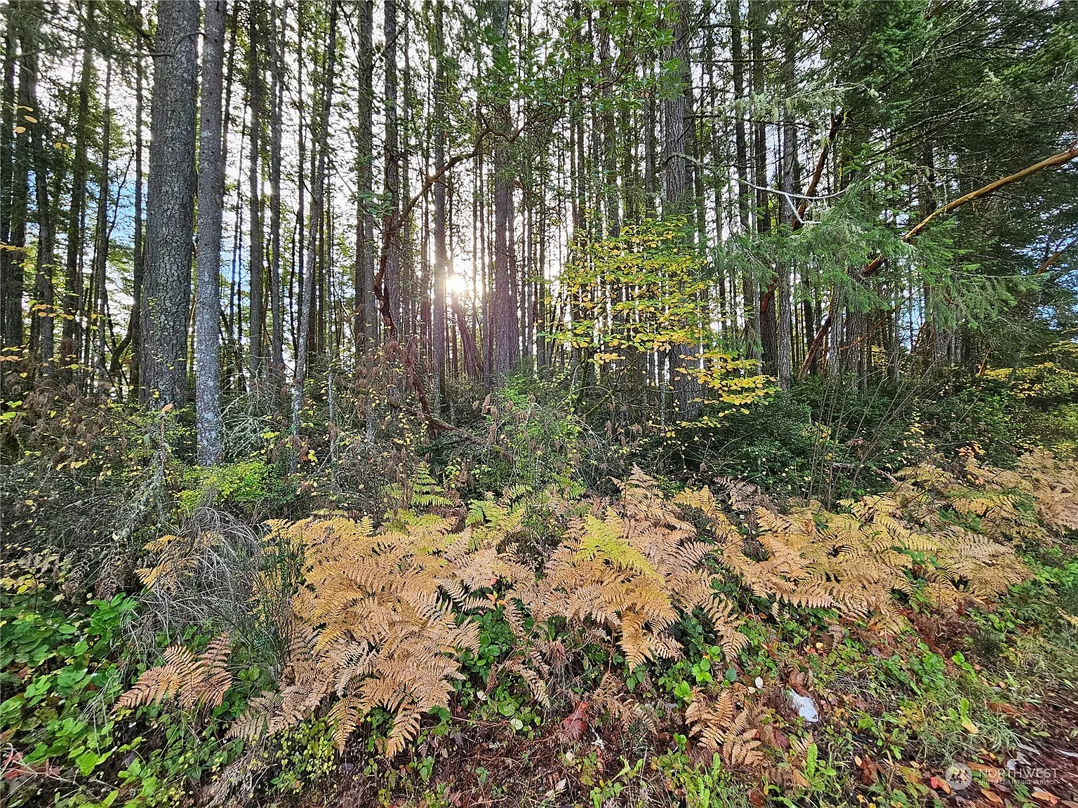 0 NE Larson Lake Road photo 1