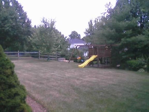 Back yard and swing set