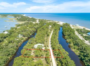 57 Harry Morrison Island Dr, Panacea, FL 32346