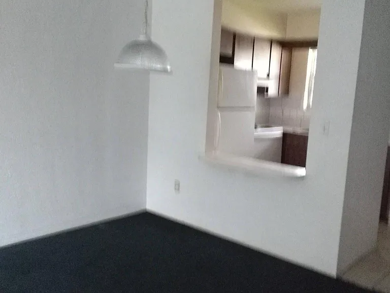 333 Orange Blossom Dr #E — Photo 7