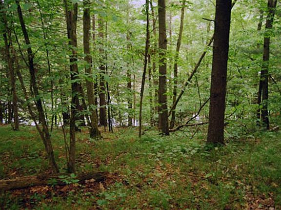 4th image of LOT 61 Sac Ct