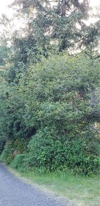 1 Maple St, Westport, WA, 98595