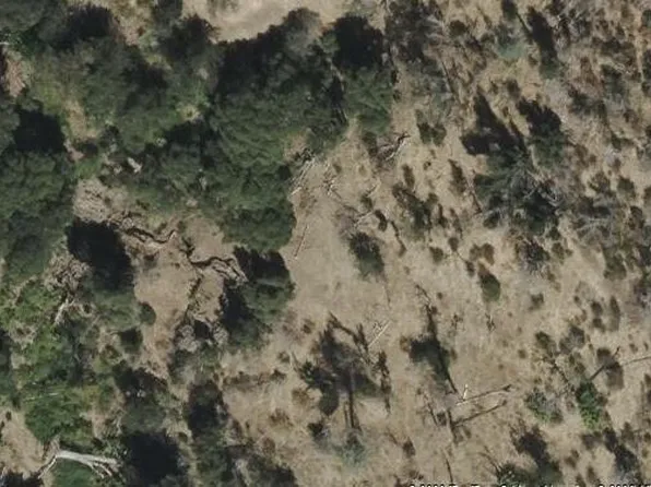 N Trail Gulch Rd, Igo, CA 96047