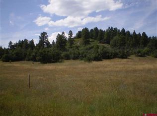50 Shooting Star Dr, Pagosa Spgs, CO 81147