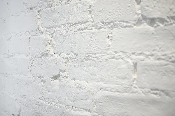 Rented by Compass | media 32