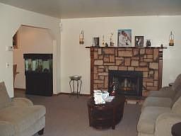 Fireplace in living room