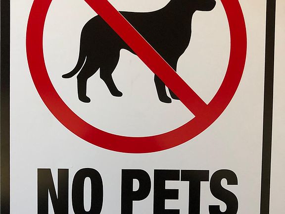 NO PETS ARE ALLOWED.