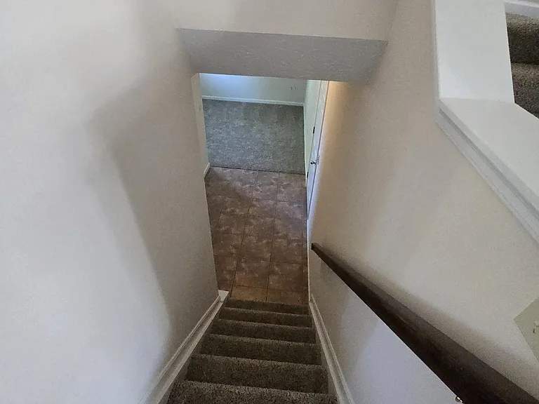3388 Spruce Tree Ln — Photo 14