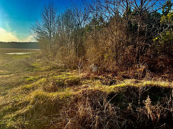 3rd image of Countess Rd