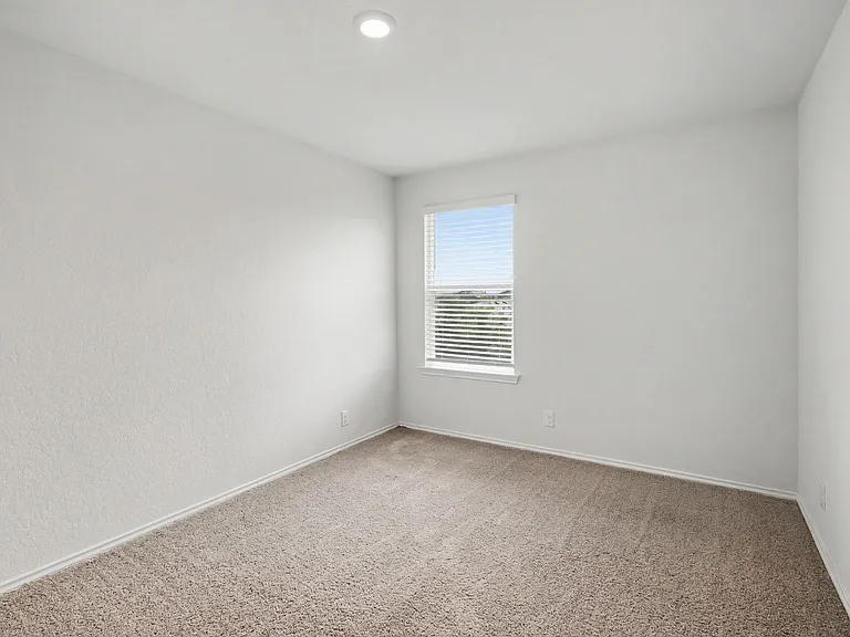 15434 Shortwing — Photo 16