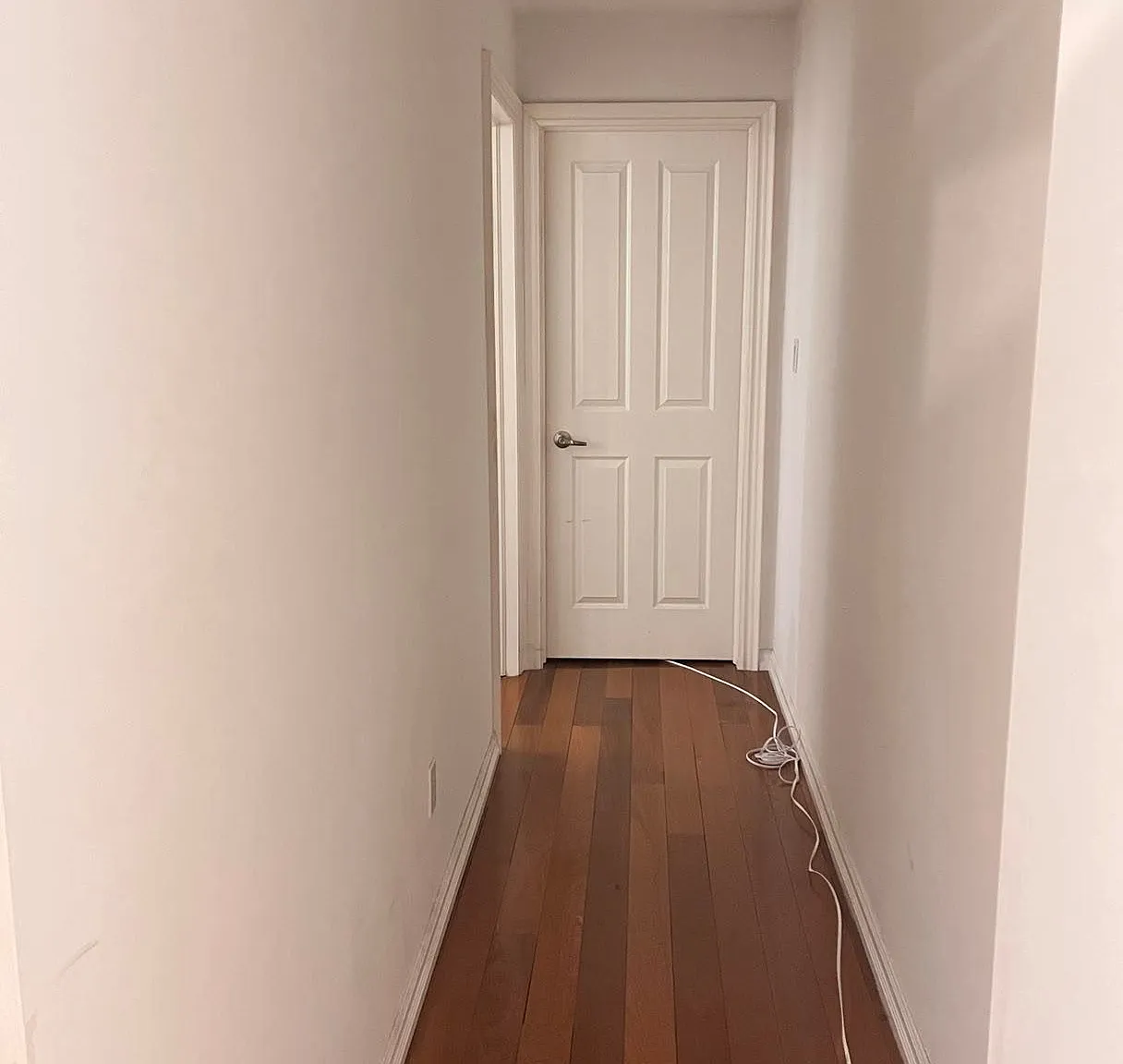 1 bed, $1,250 — Photo 2
