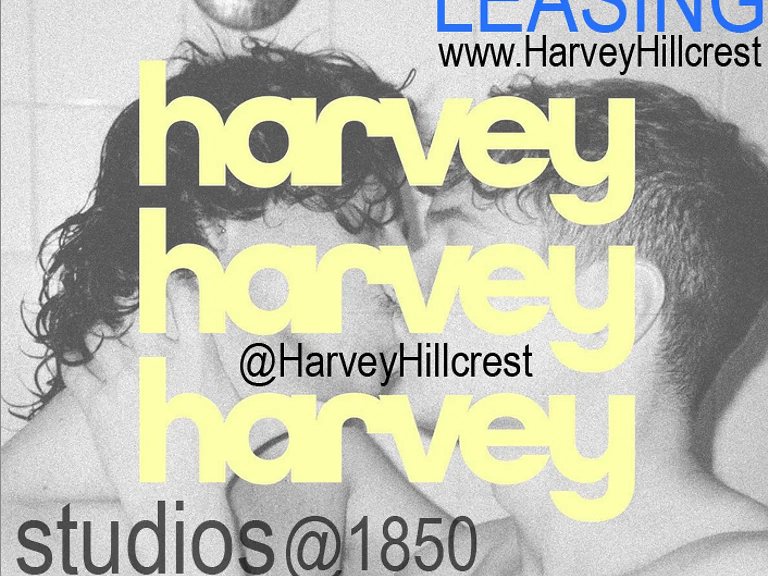 Harvey Hillcrest — Photo 3