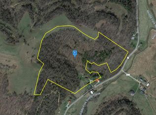 2174 Middle Frk, Reedy, WV 25270