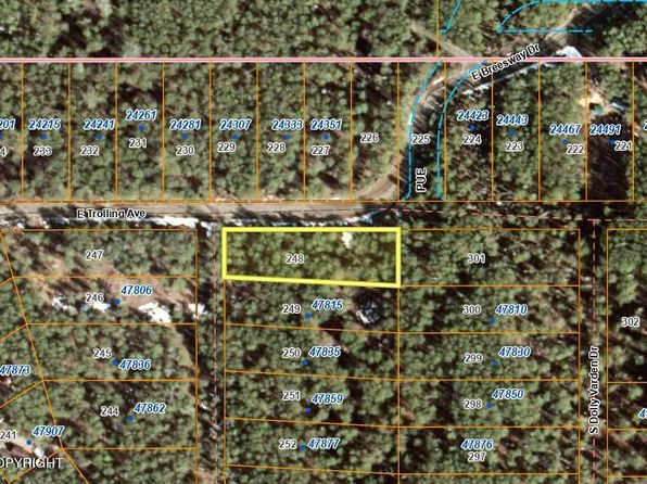 L-248 E Caswell Lakes Rd, Willow, AK 99688