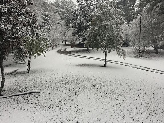 Snow view from front porch