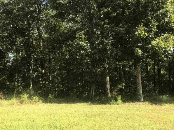 Shirley Dr, Waynesboro, TN 38485