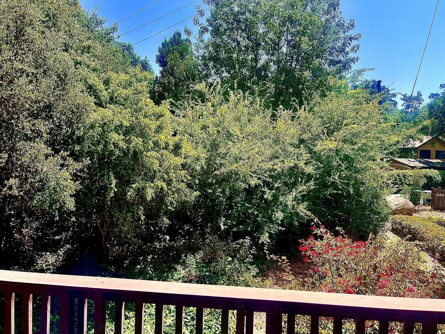 2 bed, 2.0 bath, 1063 sqft, $3,875 — Photo 2