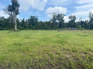 38354 N Robert Wilson Rd, Gonzales, LA 70737