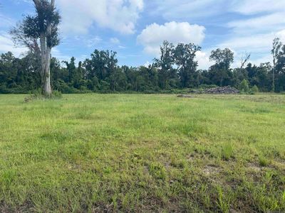 38354 N Robert Wilson Rd, Gonzales, LA, 70737