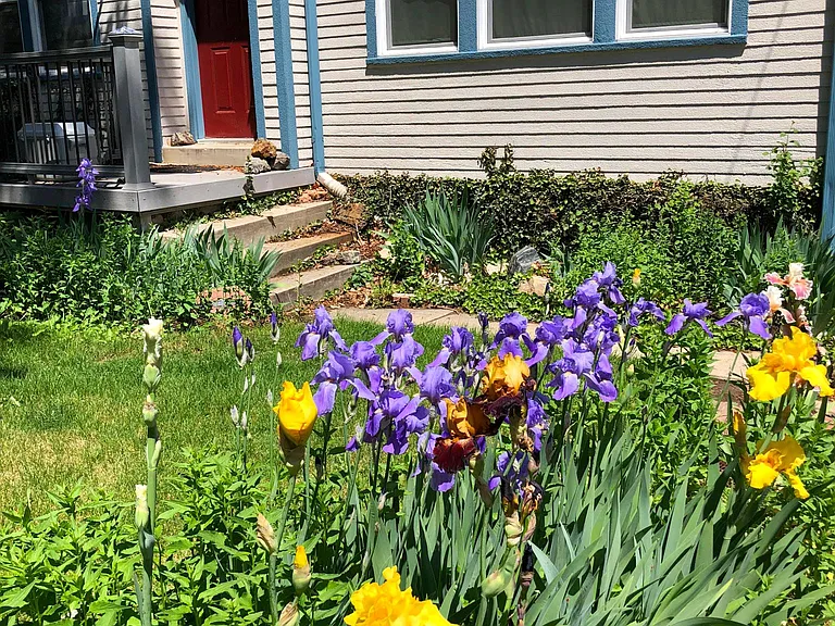3790 High Ct — Photo 23