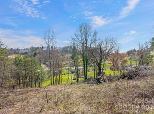 99999 Ruff Rd, Leicester, NC 28748