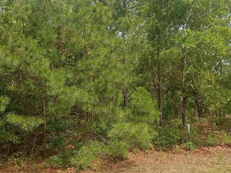 1st image of Lot 65 NW 11th