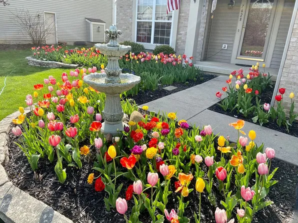 7628 Storrington Pl, Lewis Center, OH 43035