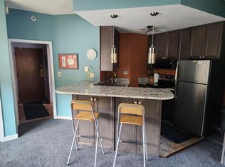 45 Beeler Pl, Frisco, CO 80443