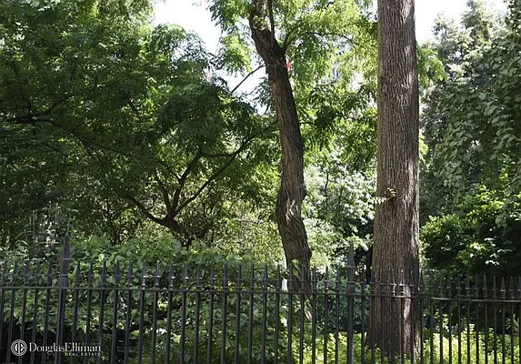 Rented by Douglas Elliman | media 22