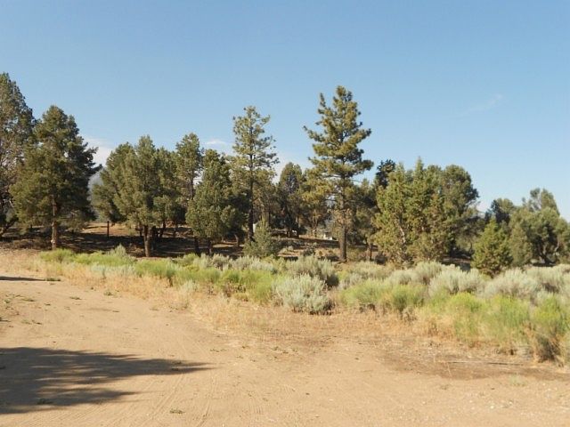 1st image of Carbon Ln