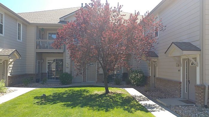 1st image of 5151 W 29th St #1405