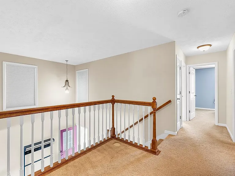 115 Tickseed Ave — Photo 10