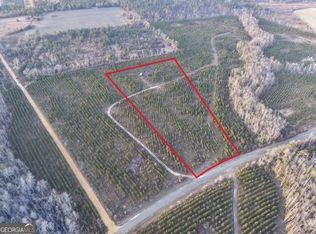 3 Powell School Rd, Lumber City, GA 31549